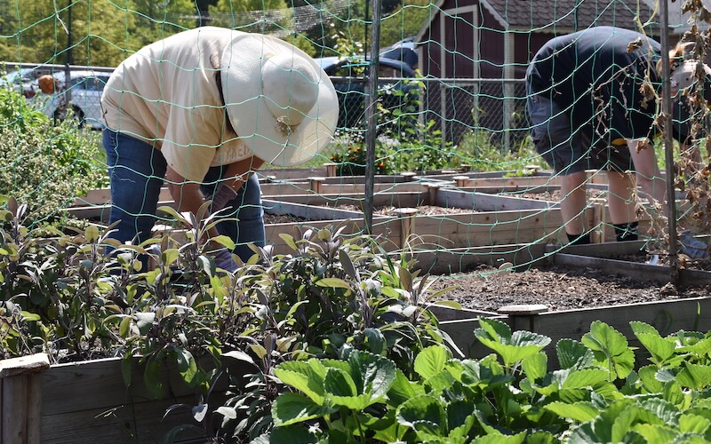 Campus Learning Garden